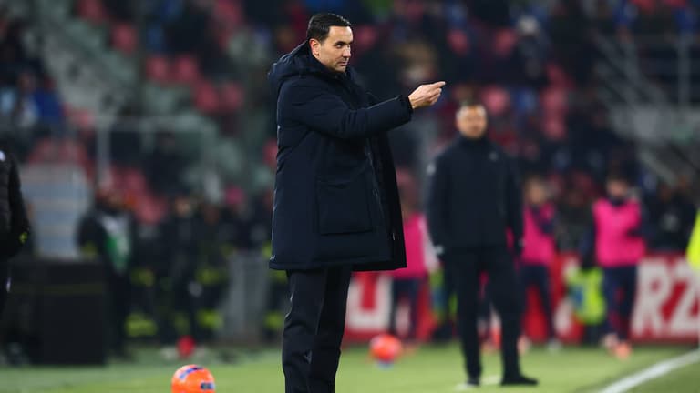 palladino raffaele-Serie A Enilive 25-26 Bologna-Atalanta-777