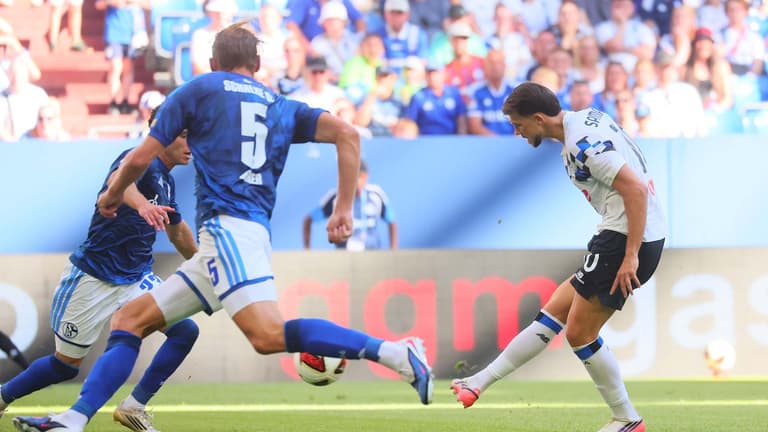 Friendly match Schalke04-Atalanta--0307